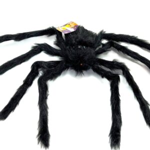 Araña Negra Mediana
