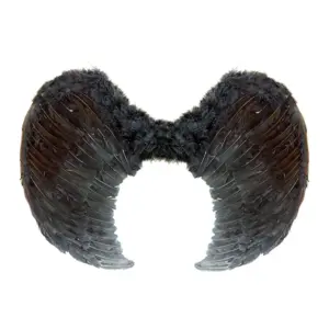 Alas ángel pluma negra 80x60